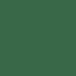 mustang green